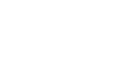 National Will Safe Logo